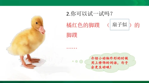 部编版二年级语文看图写话写动物课件