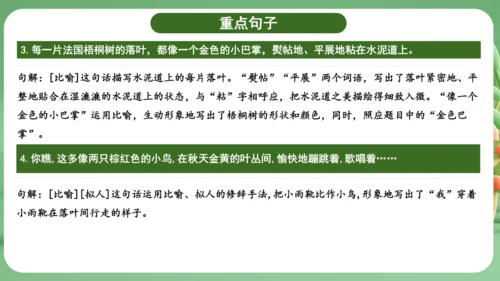 统编版2024三年级语文上册第二单元复习   课件