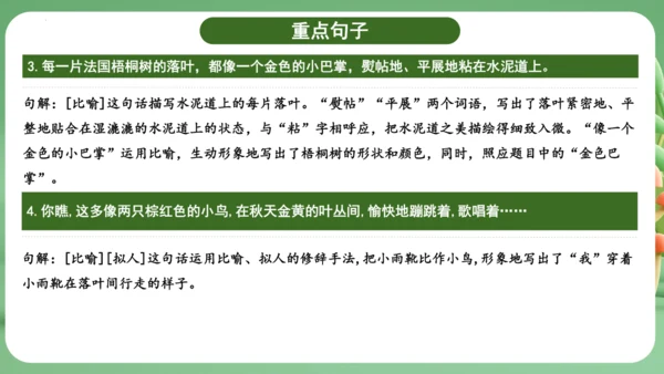 统编版2024三年级语文上册第二单元复习   课件