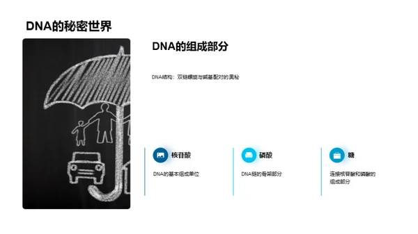 深入解析DNA