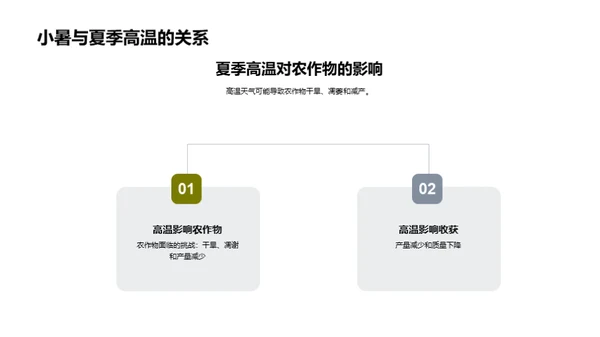 小暑时节的农耕智慧