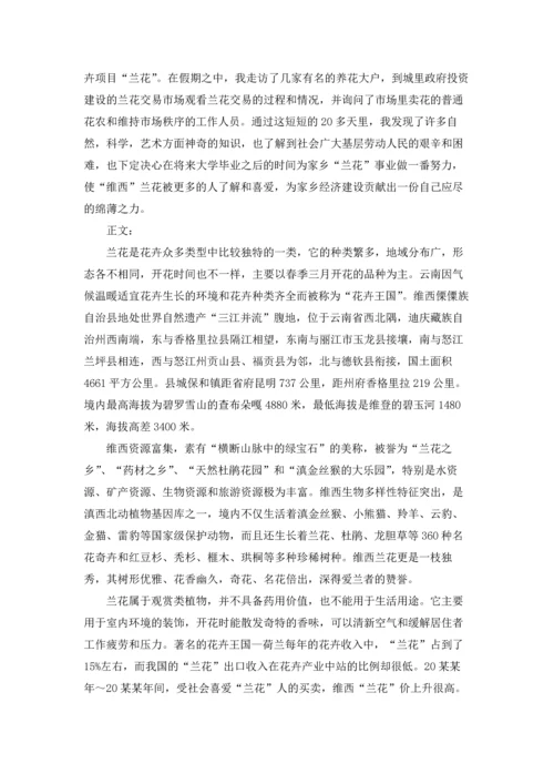 设计学生实习报告范文集锦7篇.docx