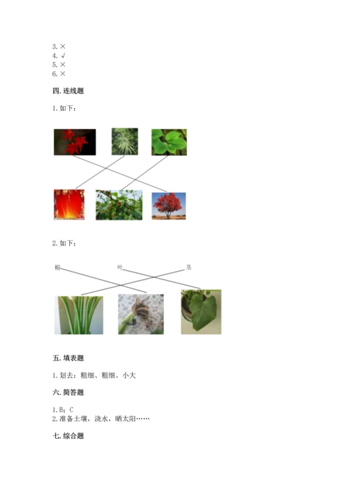 教科版科学一年级上册第一单元《植物》测试卷带答案（满分必刷）.docx