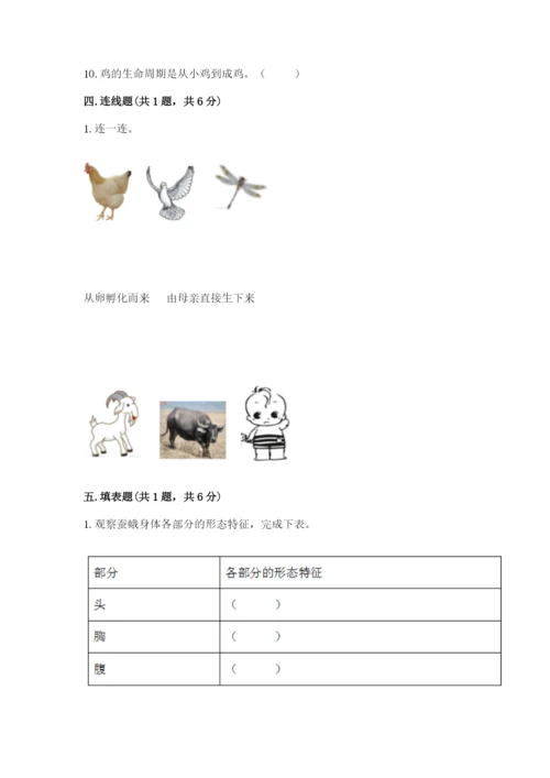 教科版三年级下册科学期末测试卷【考点精练】.docx