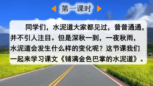 5 铺满金色巴掌的水泥道