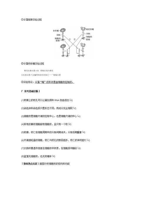 人教通用2020版高考生物大一轮复习第二单元细胞的基本结构和物质的运输第4讲细胞膜和细胞核讲义