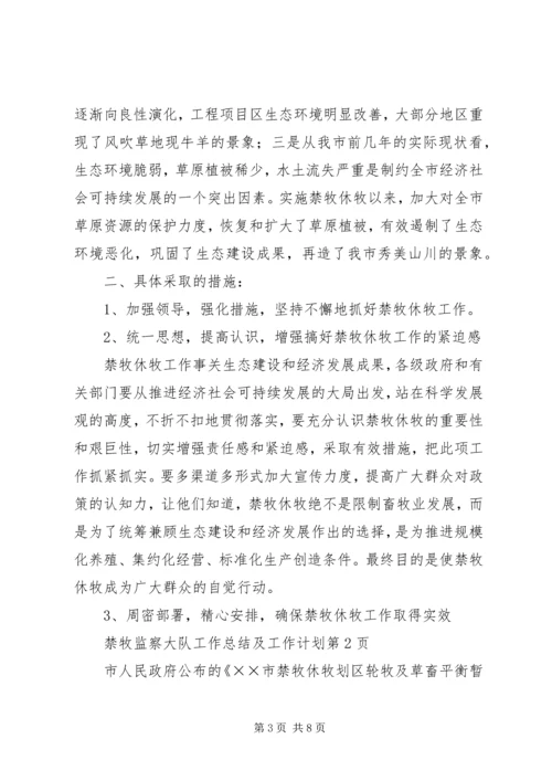 禁牧监察大队工作总结及工作计划 (2).docx