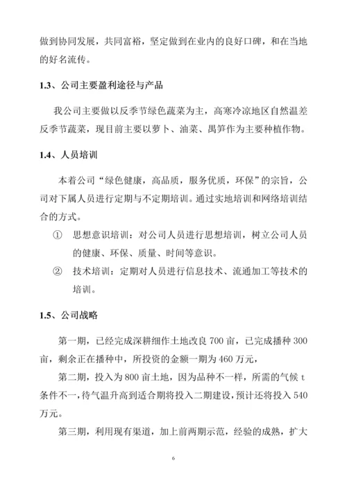 天淮农民种植专业合作社商务计划书.docx