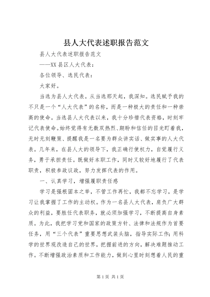 县人大代表述职报告范文 (3).docx