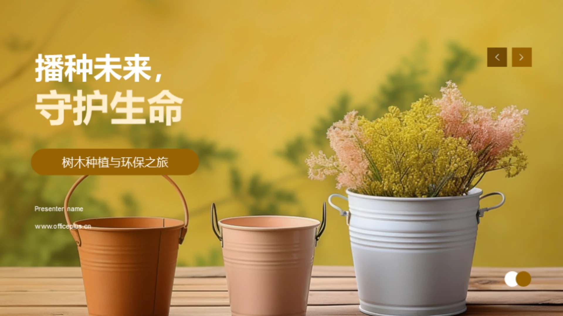 播种未来,守护生命