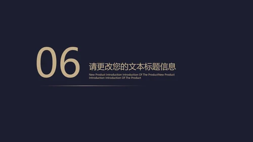 黑色奢华风极简低调商务汇报PPT模板