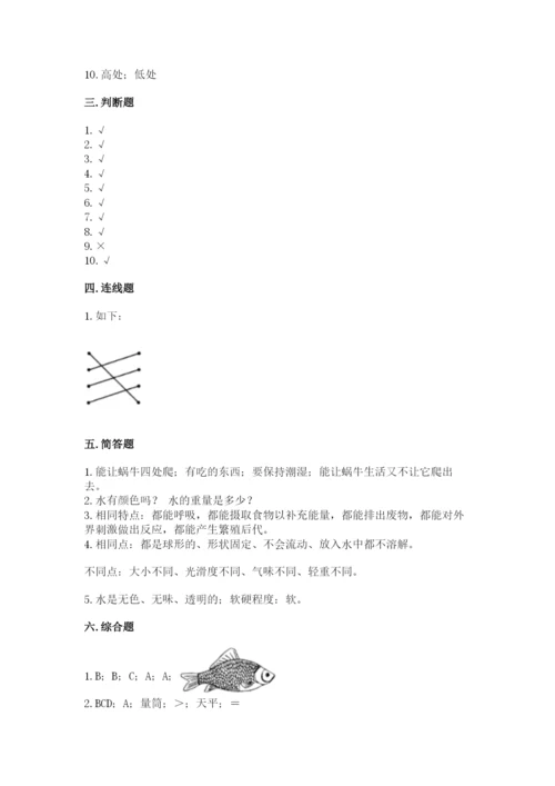 教科版一年级下册科学期末测试卷精品附答案.docx