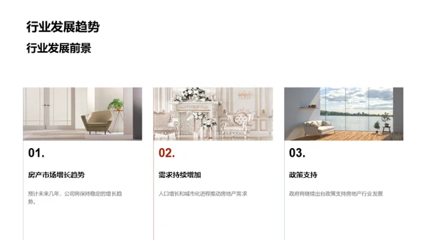 新项目投资展望
