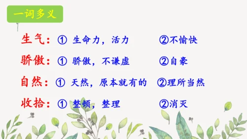 统编版二年级下册  语文园地二第一课时  课件