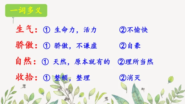 统编版二年级下册  语文园地二第一课时  课件