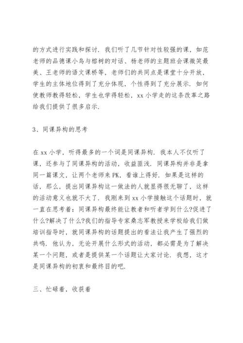 跟岗学习小学教师个人工作总结.docx