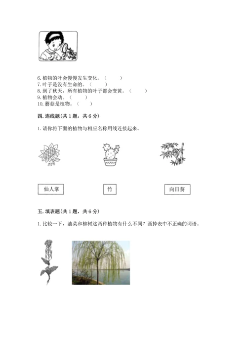 教科版一年级上册科学期末测试卷各版本.docx