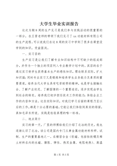 大学生毕业实训报告.docx