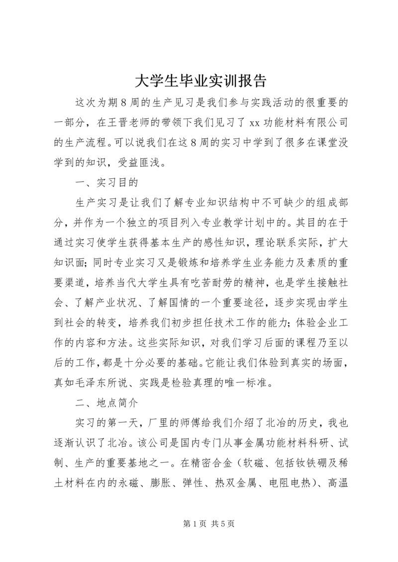 大学生毕业实训报告.docx