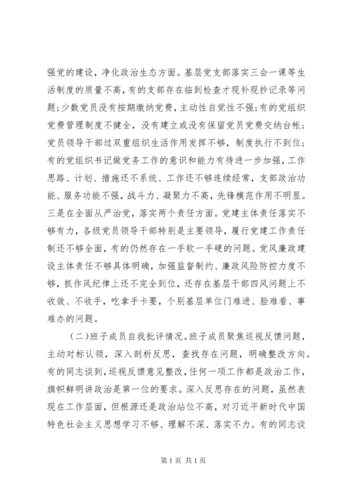 巡视整改专题民主生活会情况报告.docx