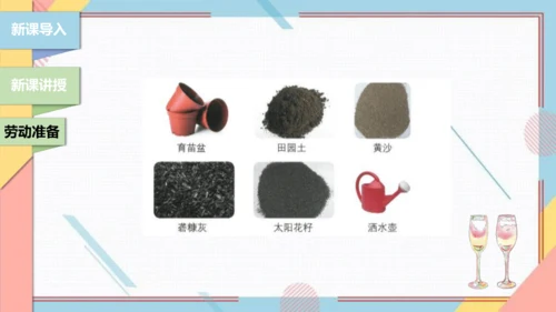 【北师大版】二年级《劳动实践指导手册》第11课《一起来种太阳花》课件
