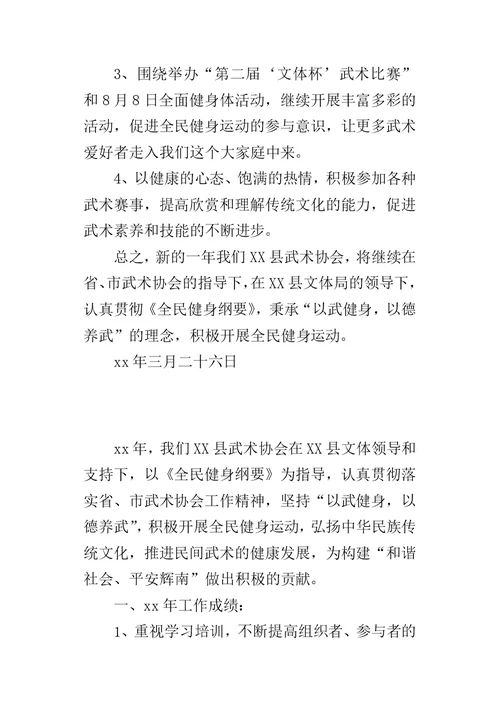 武术协会某年工作总结