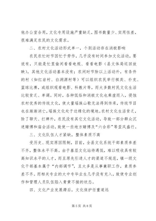 关于社会主义新农村文化建设的思考.docx