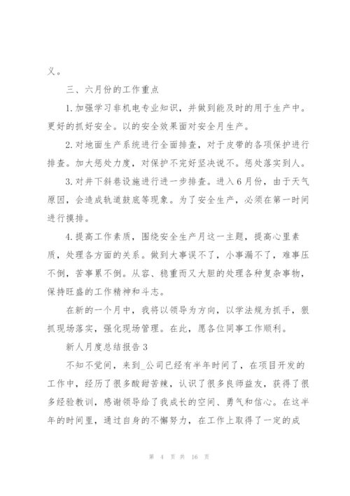新人月度总结报告.docx