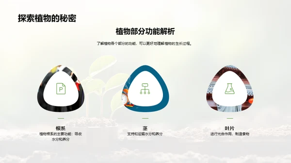植物生命奥秘解析