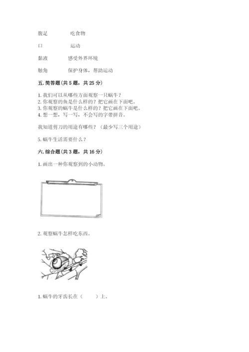 教科版一年级下册科学期末测试卷带答案（夺分金卷）.docx