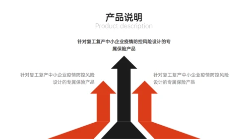 综合保险公司保障计划产品说明会通用PPT模板