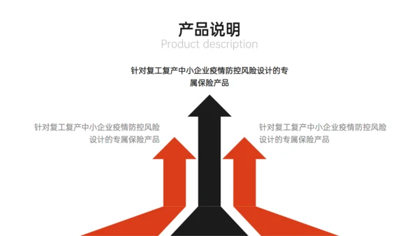 综合保险公司保障计划产品说明会通用PPT模板