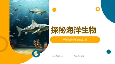 探秘海洋生物