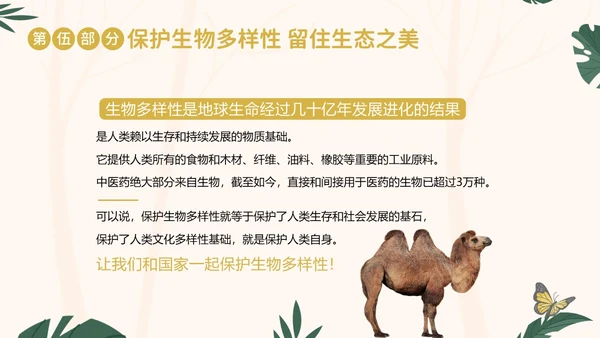 国际生物多样性日生物多样性知识宣讲PPT课件