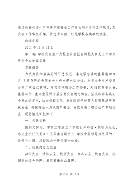 学校安全大检查自查报告.docx