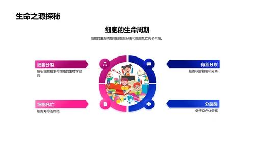 细胞知识讲解PPT模板