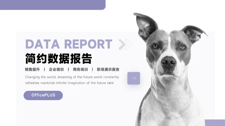 紫色简洁宠物业简约数据报告PPT模板