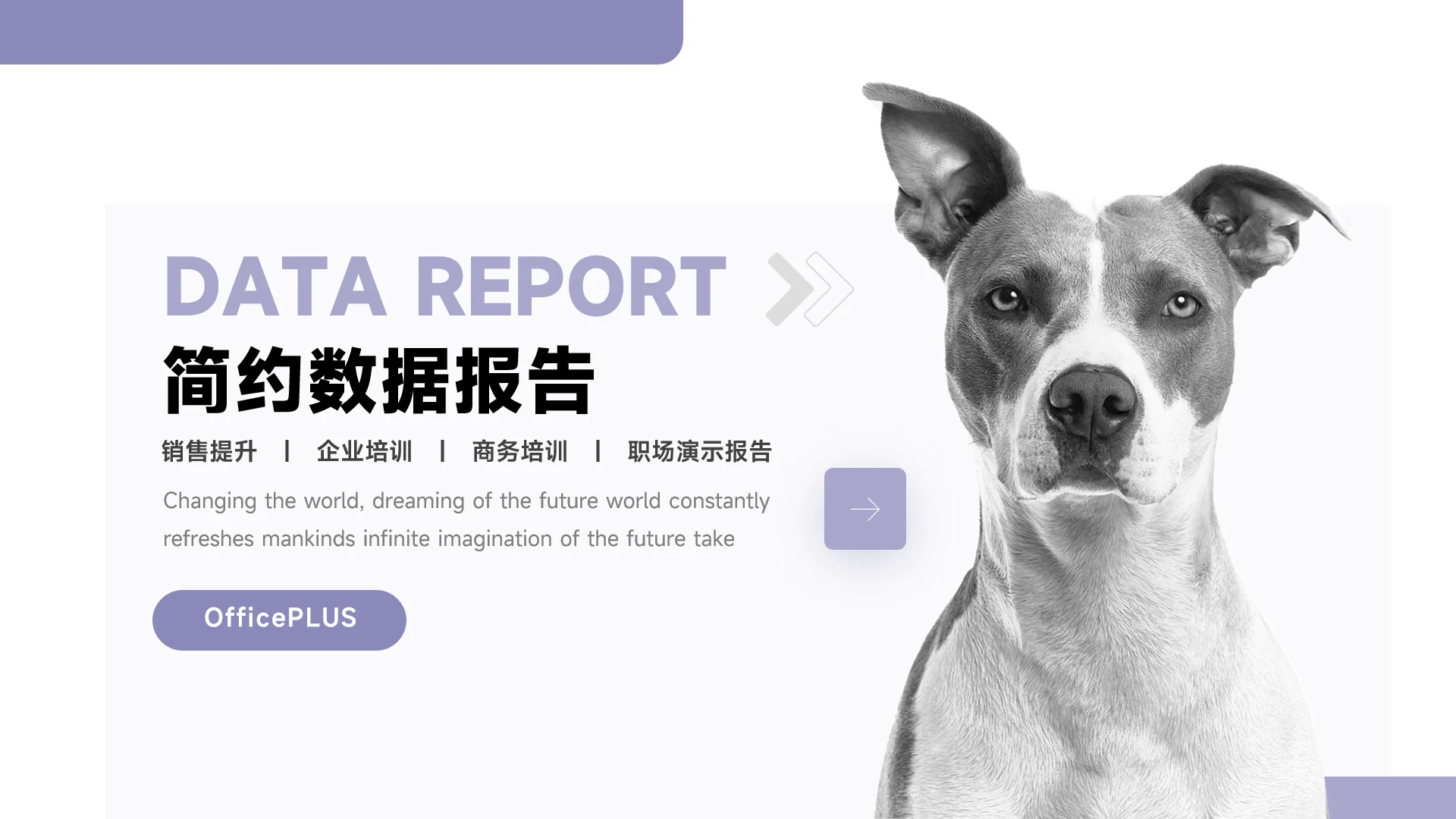 紫色简洁宠物业简约数据报告PPT模板