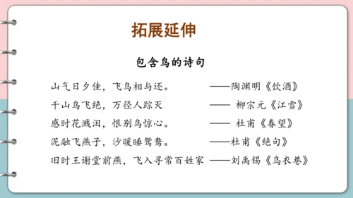 第15课《搭船的鸟》（第二课时）课件