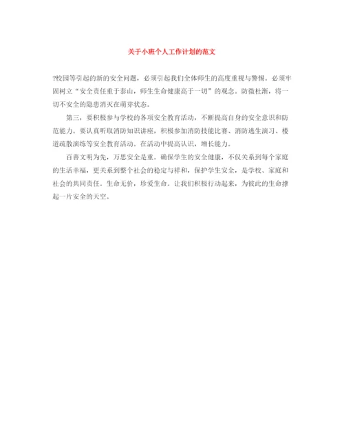 精编之关于小班个人工作计划的范文.docx
