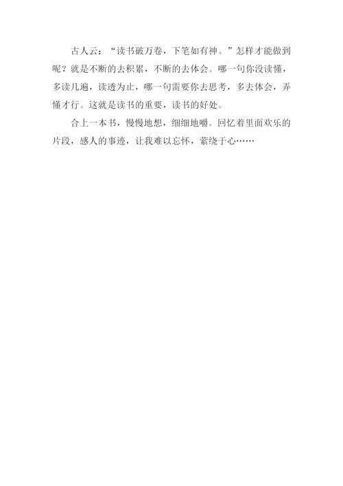 徜徉书海作文600字.docx