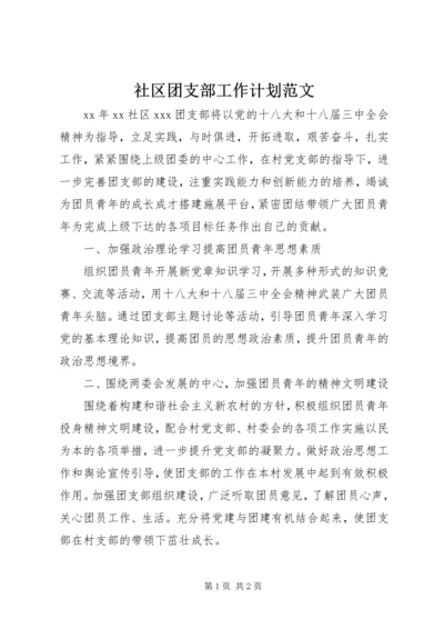 社区团支部工作计划范文 (2).docx