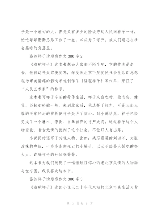 骆驼祥子读后感优秀作文300字5篇.docx