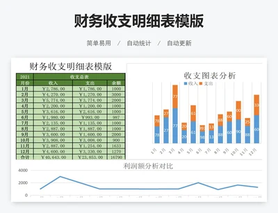 财务收支明细表模版