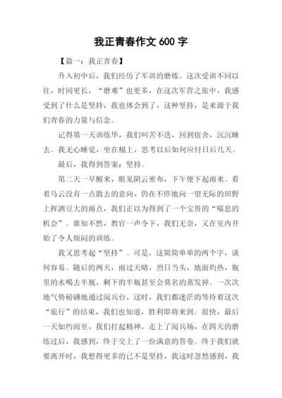 我正青春作文600字.docx