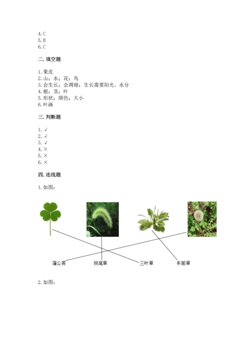 教科版科学一年级上册第一单元《植物》测试卷及完整答案（夺冠系列）.docx