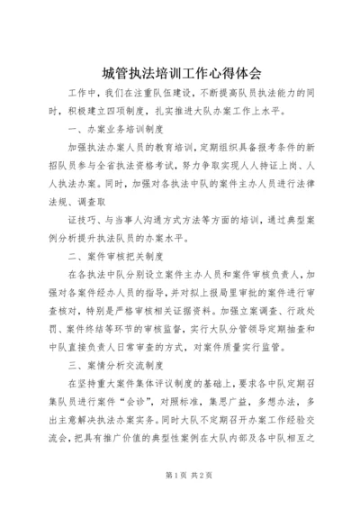 城管执法培训工作心得体会 (3).docx