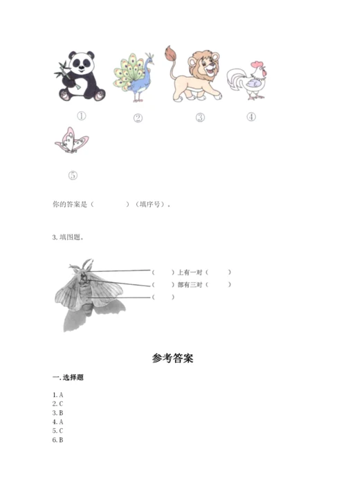 教科版小学科学三年级下册期末测试卷带答案（培优b卷）.docx