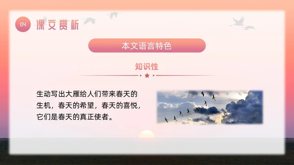 粉色简约八年级语文下册大雁归来PPT模板宣传PPT动态PP