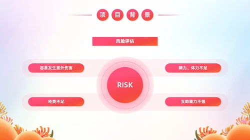 炫彩风商业创投老年人公园社区公益服务项目汇报PPT模板